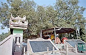 Sarnath - the Bodhi tree